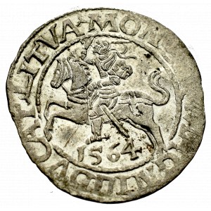 Sigismund II Augustus, Halfgroat 1564, Vilnius