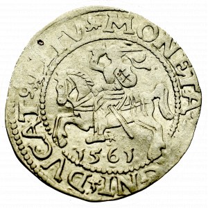 Sigismund II Augustus, Halfgroat 1561, Vilnius