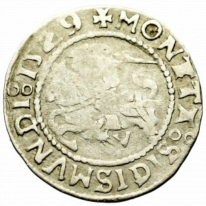 Zygmunt I Stary, Półgrosz 1529, Wilno - rzadkość nieopisana przebitka MONT/ETA