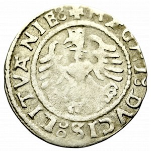 Sigismund I the Old, Halfgroat 1529, Vilnius