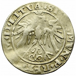Zygmunt I Stary, Grosz 1536, Wilno - rzadki LITVA/LITVA