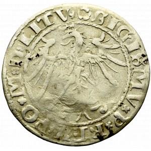 Sigismund I the Old, Groat 1536, Vilnius