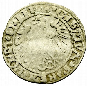 Sigismund I the Old, Groat 1536, Vilnius