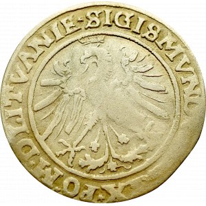 Sigismund I the Old, Groat 1535, Vilnius