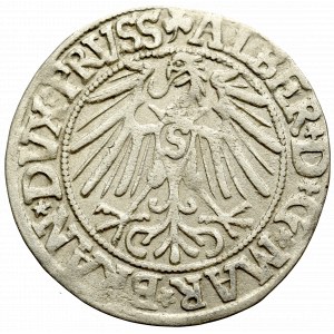 Prusy Książęce, Albrecht Hohenzollern, Grosz 1546, Królewiec