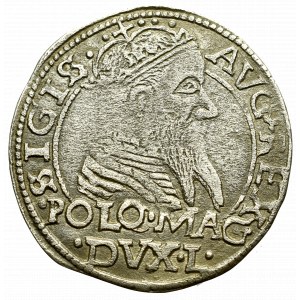 Sigismund II Augustus, Groschen for Poland, 1566