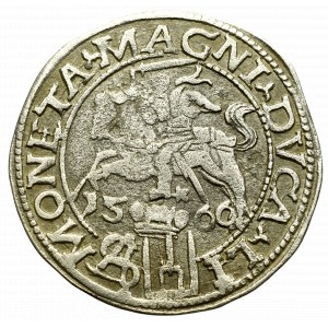 Zygmunt II August, Grosz na stopę polską 1566 - L/LI