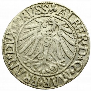 Prusy Książęce, Albrecht Hohenzollern, Grosz 1543, Królewiec