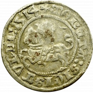 Sigismund I the Old, Halfgroat 1514, Vilnius