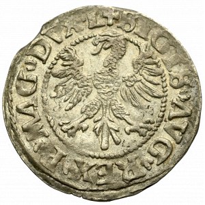 Sigismund II Augustus, Halfgroat 1546, Vilnius