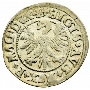 Sigismund II Augustus, Halfgroat 1546, Vilnius