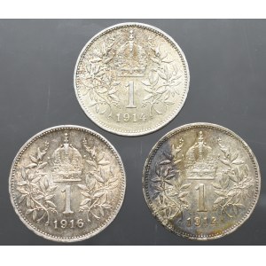Austria, zestaw 1 korona 1914-1916 (3 egzemplarze)