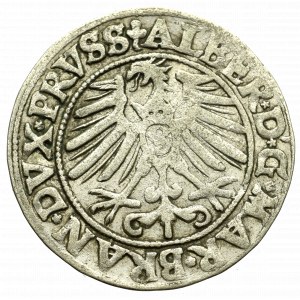 Prusy Książęce, Albrecht Hohenzollern, Grosz 1550, Królewiec