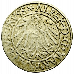 Germany, Preussen, Albrecht Hohenzollern, Groschen 1539, Konigsberg