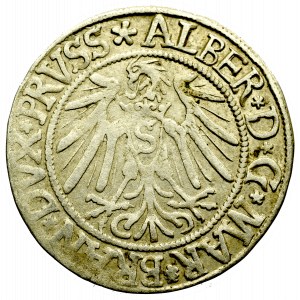 Prusy Książęce, Albrecht Hohenzollern, Grosz 1539, Królewiec