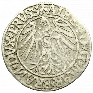 Prusy Książęce, Albrecht Hohenzollern, Grosz 1544, Królewiec