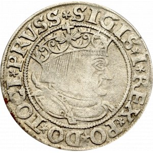 Zygmunt I Stary, Grosz dla ziem pruskich 1533, Toruń - PRVSS/PRVSS