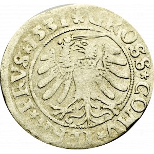 Zygmunt I Stary, Grosz dla ziem pruskich 1531, Toruń - PRV/PRVS