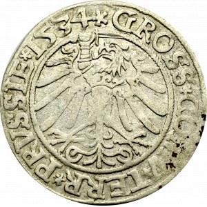 Zygmunt I Stary, Grosz dla ziem pruskich 1534, Toruń - popiersie w koronie i czepcu