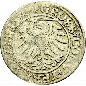 Zygmunt I Stary, Grosz dla ziem pruskich 1530, Toruń - PRVS/PRVSS
