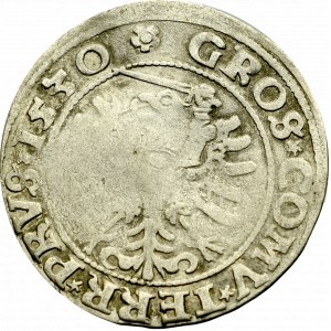 Zygmunt I Stary, Grosz dla ziem pruskich 1530, Toruń - PRVS/PRVS