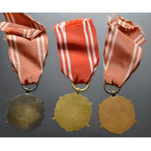 Siły zbrojne w służbie ojczyzny - zestaw 3 medali
