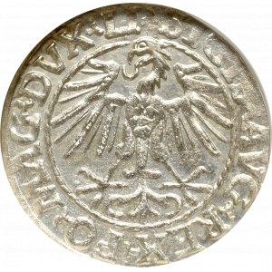 Zygmunt II August, Półgrosz 1548, Wilno - LI/LITVA NGC MS62