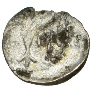 Hedviga, Denarius without date, Cracow