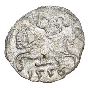 Sigismund II Augustus, Denarius 1556, Vilnius