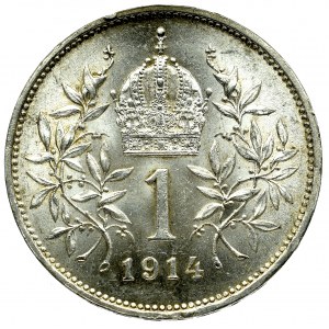 Austro-Węgry, 1 korona 1914