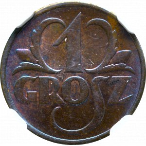 II Republic of Poland, 1 groschen 1936 - NGC MS65 BN