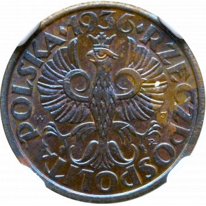 II Republic of Poland, 1 groschen 1936 - NGC MS65 BN