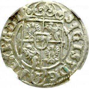 Zygmunt III Waza, Półtorak 1623, Bydgoszcz - NGC AU58