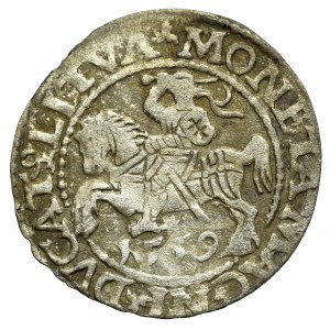 Zygmunt II August, Półgrosz 1559, Wilno - LI/LITVA