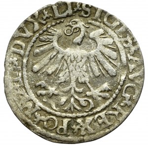 Zygmunt II August, Półgrosz 1559, Wilno - LI/LITVA
