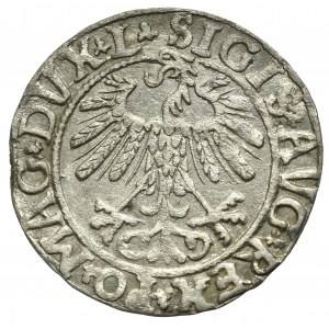 Sigismund II Augustus, Halfgroat 1558, Vilnius