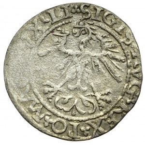 Sigismund II Augustus, Halfgroat 1562, Vilnius