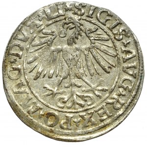Sigismund II Augustus, Halfgroat 1548, Vilnius