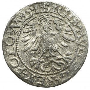Zygmunt II August, Półgrosz 1565, Wilno - L/LITV
