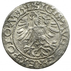 Sigismund II Augustus, Halfgroat 1565, Vilnius - L/LITV