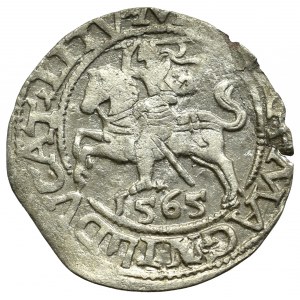 Sigismund II Augustus, Halfgroat 1565, Vilnius - L/LITV