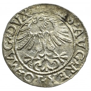 Zygmunt II August, Półgrosz 1561, Wilno - LI/LITV