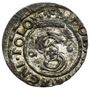 Sigismund III, Solidus 1626, Bromberg