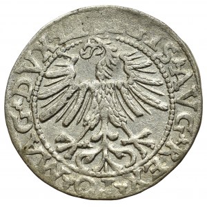 Sigismund II Augustus, Halfgroat 1565, Vilnius