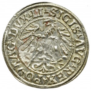 Sigismund II Augustus, Halfgroat 1547, Vilnius