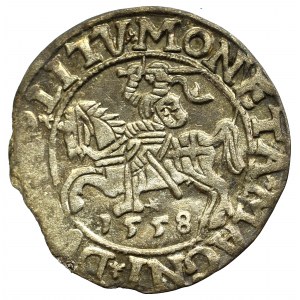 Sigismund II Augustus, Halfgroat 1558, Vilnius