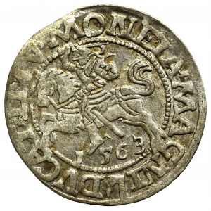 Sigismund II Augustus, Halfgroat 1563, Vilnius - L/LITV