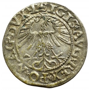 Sigismund II Augustus, Halfgroat 1563, Vilnius - L/LITV