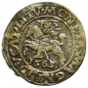 Sigismund II Augustus, Halfgroat 1563, Vilnius - L/LITV