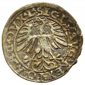 Sigismund II Augustus, Halfgroat 1563, Vilnius - L/LITV